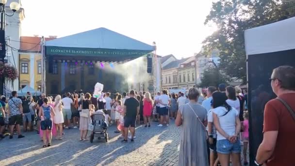 Uherske Hradiste Czechy 2023 Widok Ludzi Stojących Pod Sceną Słuchających — Wideo stockowe