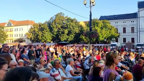 Uherske Hradiste Çek Cumhuriyeti 2023 Nsanlar Meydanda Grubu Dinliyor Şarap — Stok video
