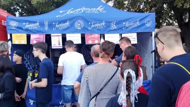 Uherske Hradiste Tjeckien 2023 Folk Står Vid Ölmonter Vinfestival Uherske — Stockvideo