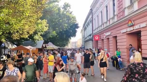 Uherske Hradiste Tsjechië 2023 Mensen Lopen Langs Eetstalletjes Wijnfestival Uherske — Stockvideo