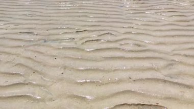 Güzel bir sahil manzarası, kumsaldaki ıslak kum, kumdaki dalgalar.