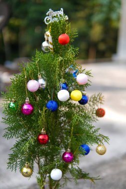 Renkli süslemeli Noel ağacı. Arkaplanı bulanık olan Noel ağacı.
