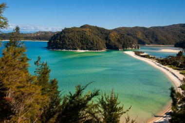 Torrent Bay 'de güzel turkuaz su, Abel Tasman Ulusal Parkı, Güney Adası Yeni Zelanda