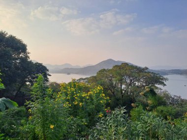 Fateh Sagar Gölü 'nün güzel manzarası ve Udaipur, Rajasthan, Hindistan' daki ağaçların arkasındaki dağlar.