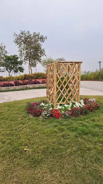 Yeni Delhi, Hindistan 'daki Baansera Bambu Parkı' nda bahar çiçekleri açıyor.