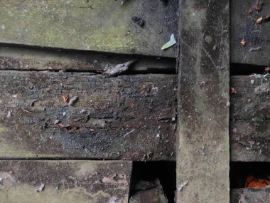 Doğal Havalandırma İşaretli Sert Ahşap Yüzey