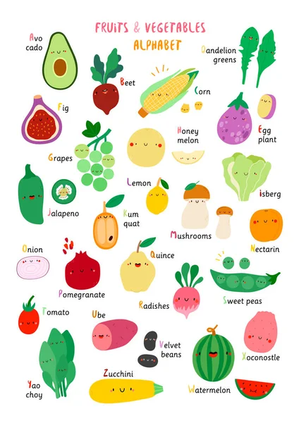 果物と野菜のアルファベット ベクトルフード教育ポスター かわいい手描きの食べ物の文字で文字を学ぶ — ストックベクタ