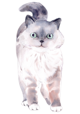 Kedi tapılası sanat öğesi