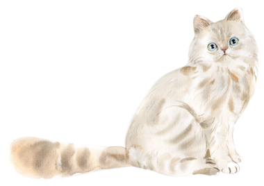 Kedi tapılası sanat öğesi