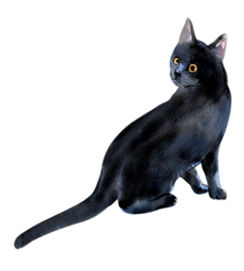 Kedi tapılası sanat öğesi