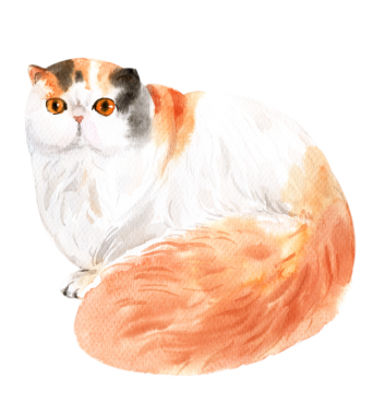 Kedi tapılası sanat öğesi