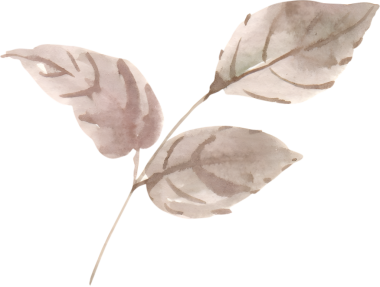 Sevgililer Günü suluboya için gül çiçeği ve buket dekor