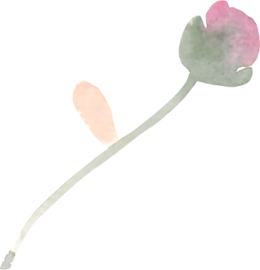 Sevgililer Günü suluboya için gül çiçeği ve buket dekor