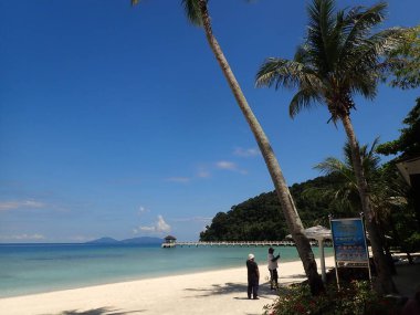 Malezya 'nın Lang Tengah Adası' ndaki mercan kayalıklarında mercan bulundu. Yüksek kalite fotoğraf