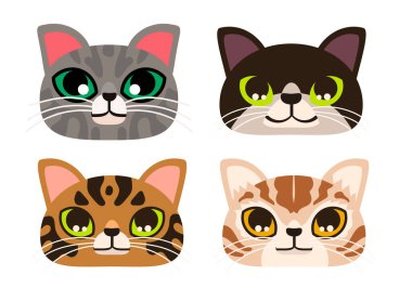 Dört sevimli kedi suratlı koleksiyon.