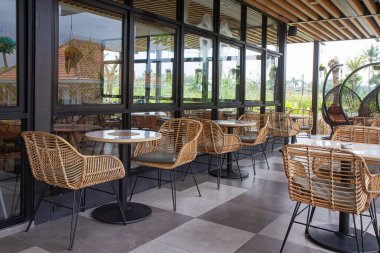 Beyaz kaz bembeyaz duruyor