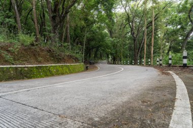 Ormanda kavisli yol beton yol