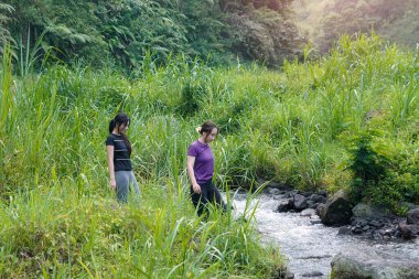 İki Asyalı kadın yemyeşil alanlarda yürüyüş yapıyor, doğa ile sağlıklı ve sürdürülebilir bir yaşam tarzını birleştiriyor..