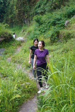 Doğa yolunda uzun otların arasında yürüyen iki Asyalı kadın egzersiz, spor ve sürdürülebilir yaşamı kucaklıyor.