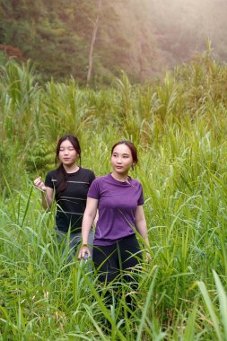 Doğa yolunda uzun otların arasında yürüyen iki Asyalı kadın egzersiz, spor ve sürdürülebilir yaşamı kucaklıyor.