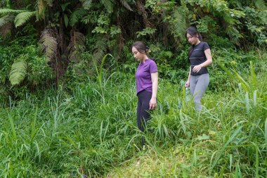 Doğa yolunda uzun otların arasında yürüyen iki Asyalı kadın egzersiz, spor ve sürdürülebilir yaşamı kucaklıyor.