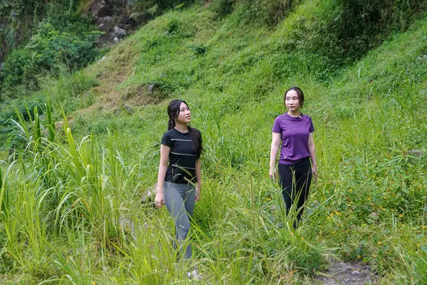 Doğa yolunda uzun otların arasında yürüyen iki Asyalı kadın egzersiz, spor ve sürdürülebilir yaşamı kucaklıyor.