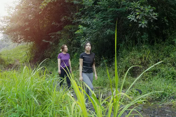 Doğa yolunda uzun otların arasında yürüyen iki Asyalı kadın egzersiz, spor ve sürdürülebilir yaşamı kucaklıyor.