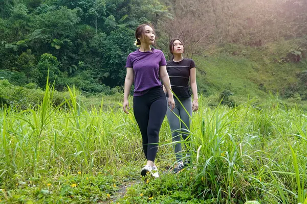 Doğa yolunda uzun otların arasında yürüyen iki Asyalı kadın egzersiz, spor ve sürdürülebilir yaşamı kucaklıyor.