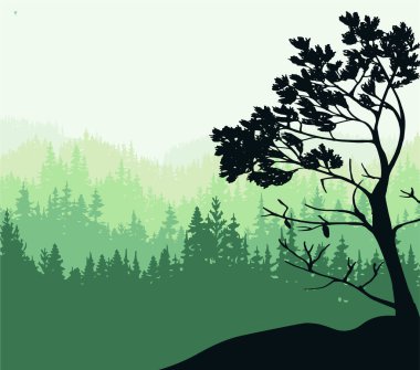 Landscape illustration. Silhouette of trees and mountains, forest, fog. Nature background. Pine tree in foreground.	