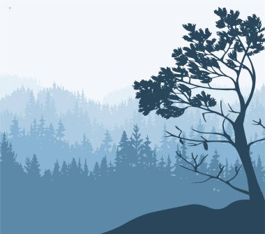 Landscape illustration. Silhouette of trees and mountains, forest, fog. Nature background. Pine tree in foreground.	