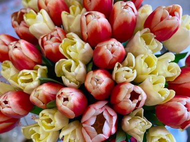 Bright yellow Rubber sandals or Crocs. Summer vacation trendy shoes near the blooming yellow flowers, fresh green grass. Stylish sandals. Yellow footwear.