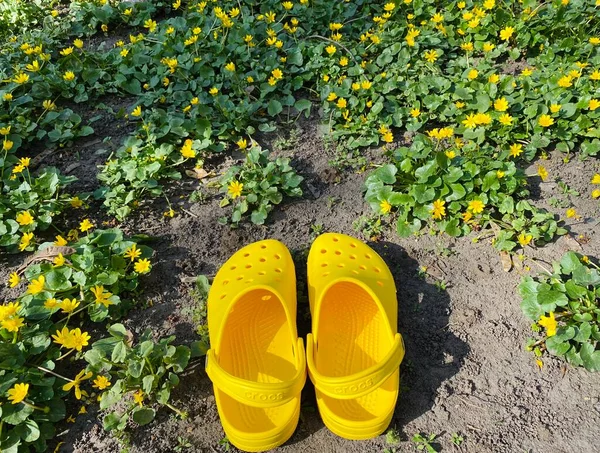 Karet Crocs Kuning Terang Musim Panas Liburan Sepatu Trendi Mekar — Stok Foto