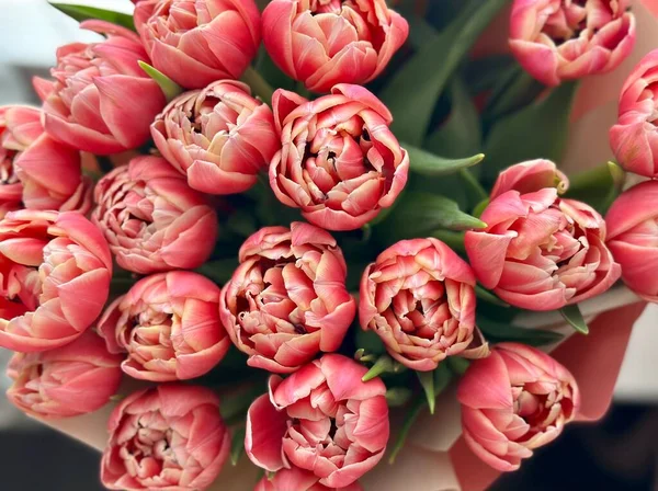 Peony Tulipany Kwiat Wiosna Wakacje Kwiaty Pastelowe Tło Minimalny Kwiecisty — Zdjęcie stockowe