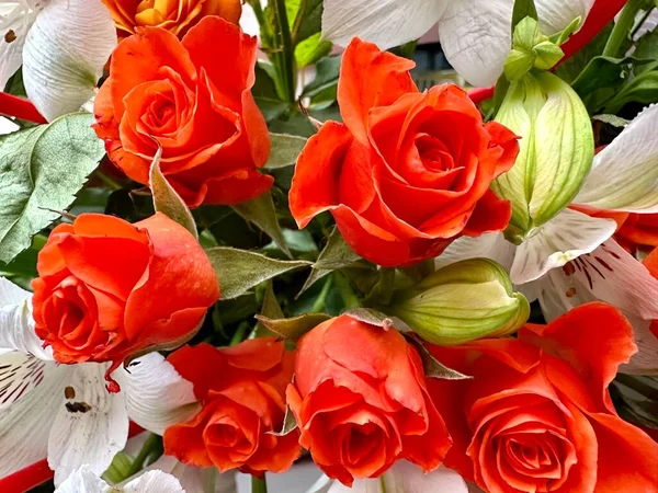 Piękny Kwiat Kompozycja Niezwykłymi Pomarańczowymi Czerwonymi Kwiatami Bukiet Stylu Vintage — Zdjęcie stockowe