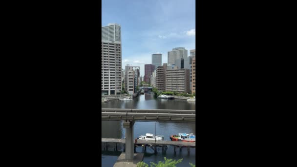 Vertical Video Train Passes Suspended Monorail Canal Background Metropolis Buildings — Stock Video