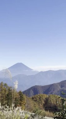 Zirvede kar olmayan Fuji Dağı 'nın dikey görüntüsü güneşli, bulutsuz bir günde. 2024 Kasım, Fuji, Japonya