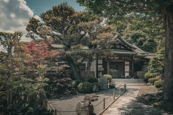 Geleneksel güzel bir Japon bahçesi manzarası