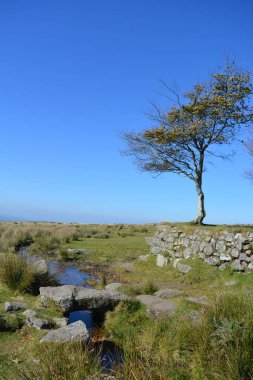 Longash Leat 'in üzerindeki köprünün arkasında terk edilmiş bir okul binası, Merrivale, Dartmoor Ulusal Parkı, Devon, İngiltere