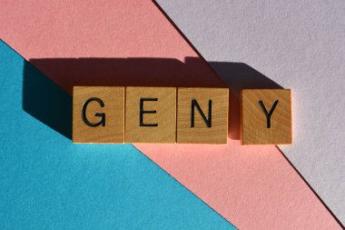 Y jenerasyonu, ahşap alfabe harflerindeki kelimeler pembe, mor ve mavi arkaplanda izole edilmiş. 