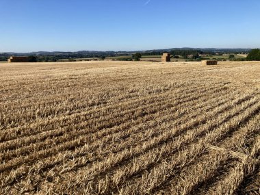 Early morning rural scene with hay bales in stubble field after harvest, Somerset, UK