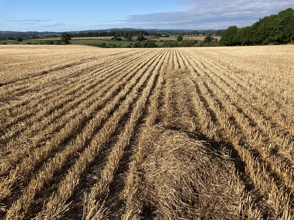 Late summer British landscape scene with stubble field after harvest and farm fields beyond, Somerset, England