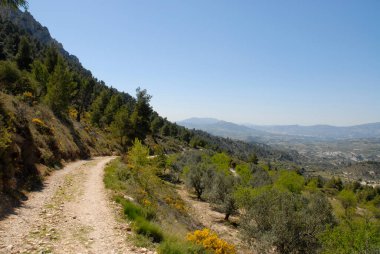 Quatretondeta, Sierra de Serrella, Comtat, Alicante Eyaleti, Comunidad Valenciana, İspanya yakınlarındaki Els Frares kaya zirvelerine giden yol.