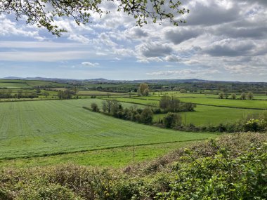 Baharın güzel kırsal manzarası, yeşil tarlaların üzerinden uzak tepelere, Doğu Chinnock, Somerset, İngiltere