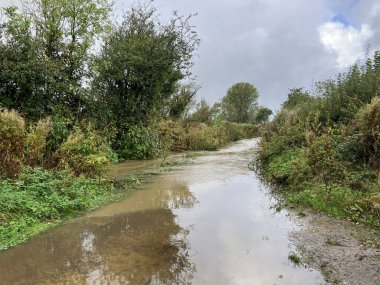 Şiddetli sonbahar yağmurlarından sonra akan akıntının yol açtığı sel yolu, Somerset, İngiltere