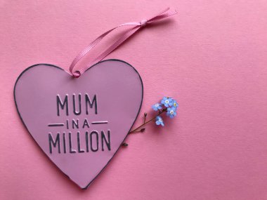 Milyonlarca sevgiler ve Myosotis olarak da bilinir. Pembe arka planda izole edilmiş çiçekler değil.