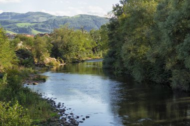 Kuzey İspanya, Cantabria 'da, arkasında dağlar olan kocaman yeşil ağaçlarla çevrili güzel mavi bir nehir manzarası.