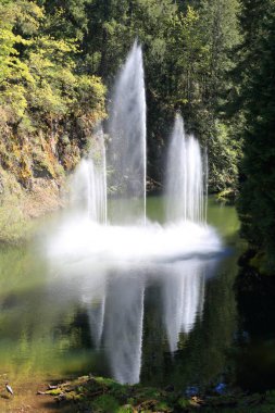 Ross Fountain Butchart Gardens Brentwood Körfezi, British Columbia, Kanada
