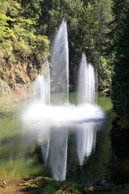 Ross Fountain Butchart Gardens Brentwood Körfezi, British Columbia, Kanada