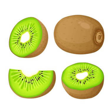 Ripe kiwi fruit and half kiwi fruit isolated on white background. Vector eps 10., perfect for wallpaper or design elements