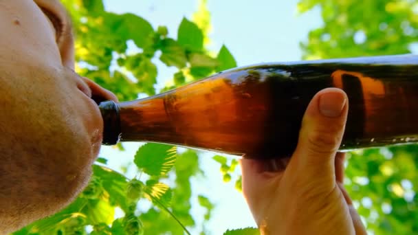 Чоловік Пиво Пляшки Вид Знизу Повільний Рух Охолодження Літнього Напою — стокове відео